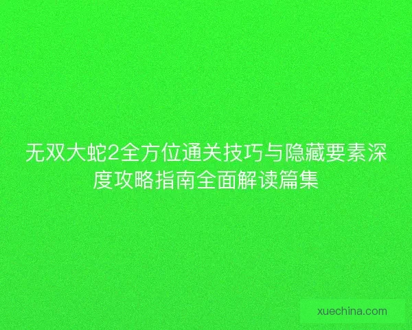 无双大蛇2全方位通关技巧与隐藏要素深度攻略指南全面解读篇集